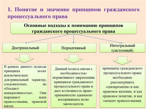 Основные принципы процессуальных норм права