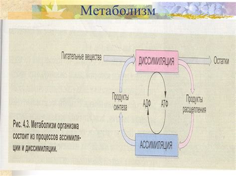 Основные принципы работы прямого обмена