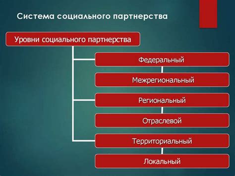 Основные принципы социального устройства