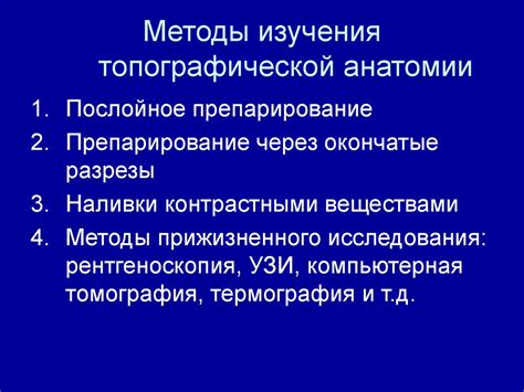 Основные принципы топографической анатомии и их применение