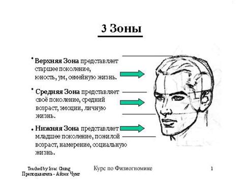 Основные принципы физиогномики