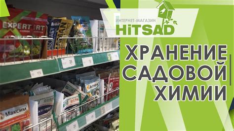 Основные принципы хранения и продление срока годности