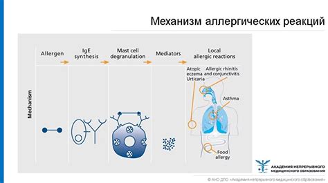 Основные причины возникновения аутоиммунной аллергии