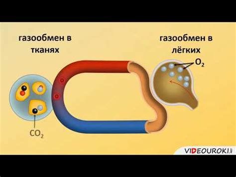 Основные причины возникновения узловых образований