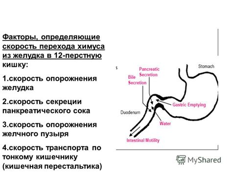 Основные причины для проведения опорожнения желудка