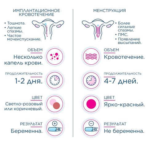 Основные причины и значение кровотечения после имплантации в сфере сновидений