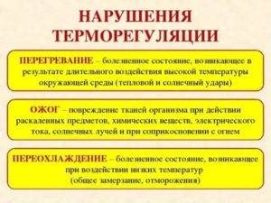 Основные причины и последствия нарушения терморегуляции