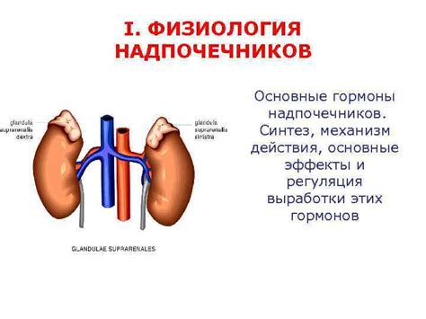 Основные причины нелокализации надпочечников