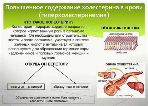 Основные причины повышенного тромбопластинового времени