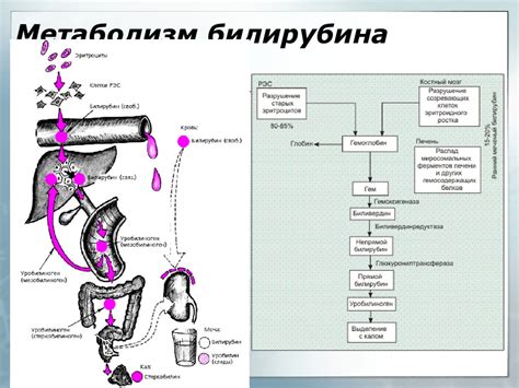 Основные причины разложения печени: