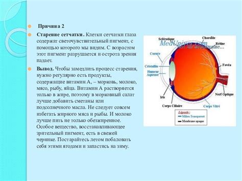 Основные причины слепоты у людей