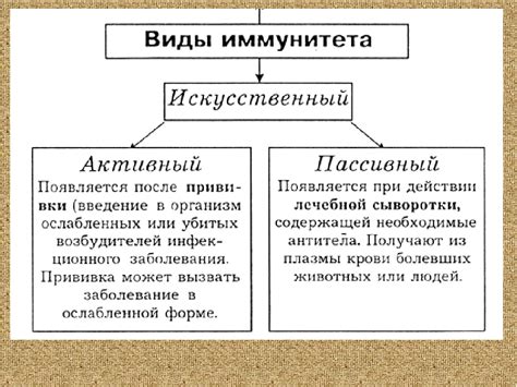 Основные различия между активным и пассивным счетом