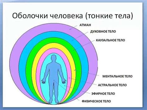 Основные свойства тонких тел