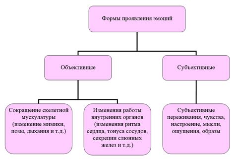 Основные симптомы и проявления щемящего чувства