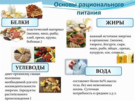 Основные составляющие рациона дня: белки, жиры, углеводы