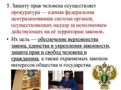 Основные сферы применения защиты прав человека