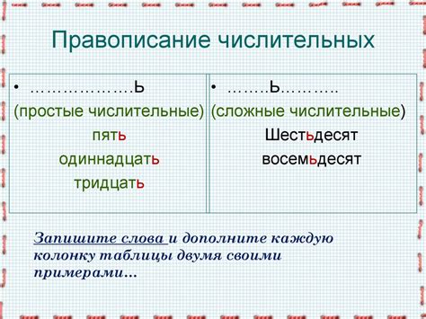 Основные типы количественных числительных