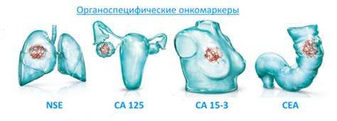 Основные типы онкомаркеров