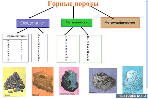 Основные типы осадочных горных пород