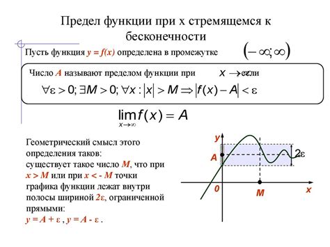 Основные типы пределов: предел функции при x стремящемся к бесконечности и предел функции при x стремящемся к какому-либо числу