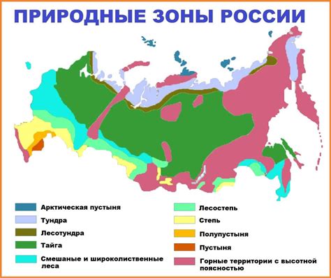 Основные типы ресурсов в России