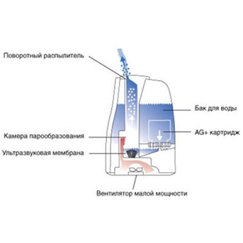 Основные типы ультразвуковых воздухоувлажнителей