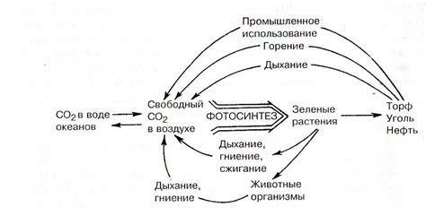 Основные типы циклов