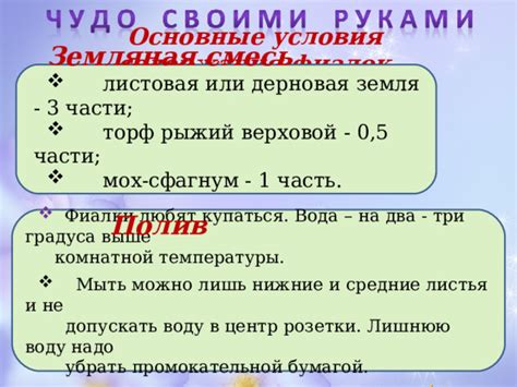 Основные условия содержания