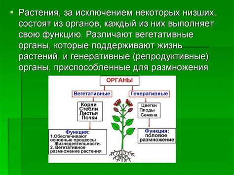 Основные функции Гетконтакт