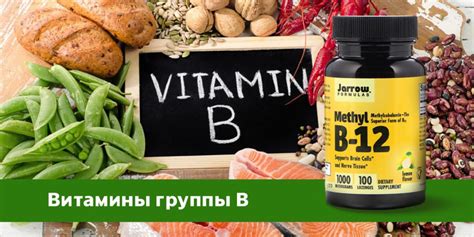 Основные функции витаминов группы Б