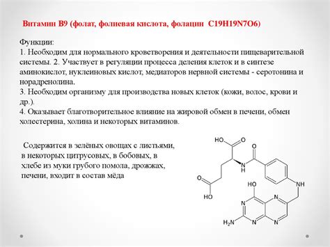 Основные функции витаминов группы В