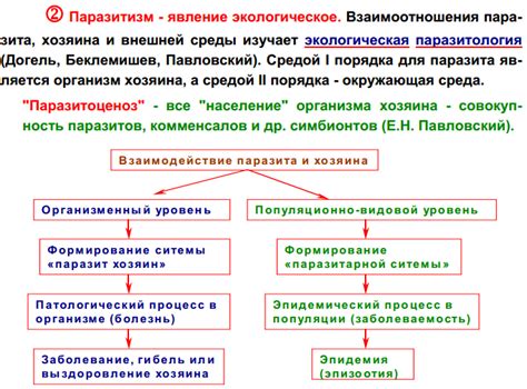 Основные функции основного хозяина