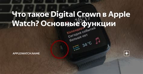 Основные функции digital crown в устройствах