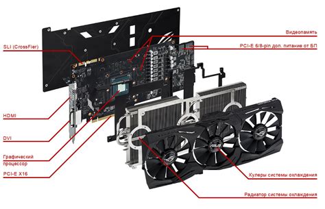 Основные характеристики видеокарты Quadro