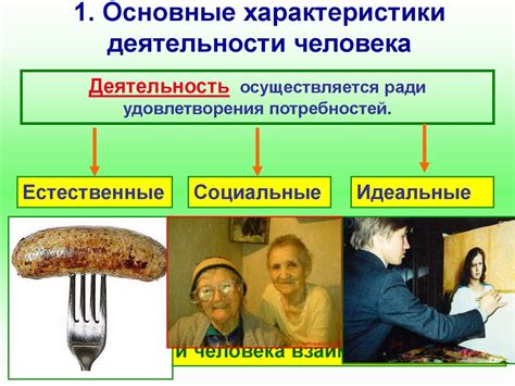 Основные характеристики гашенного человека