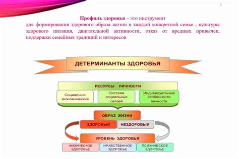 Основные характеристики и критерии отличия