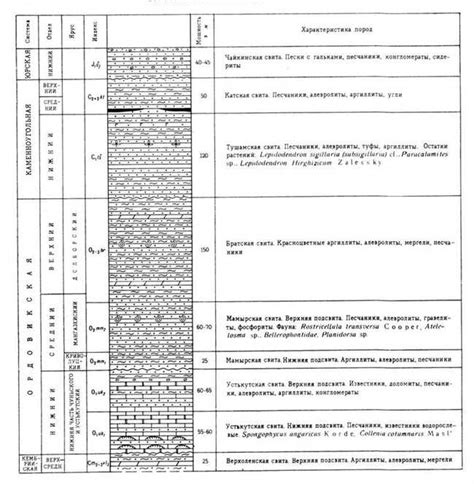 Основные характеристики и понятия, связанные с "Самп"