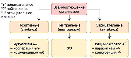 Основные характеристики комплексных организмов