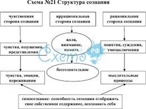 Основные характеристики отражения фактов