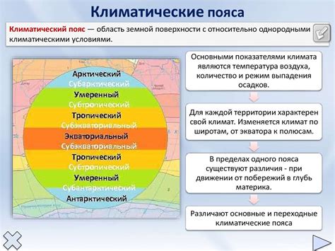 Основные характеристики серой зоны пса