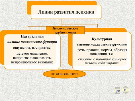 Основные характеристики сферы деятельности