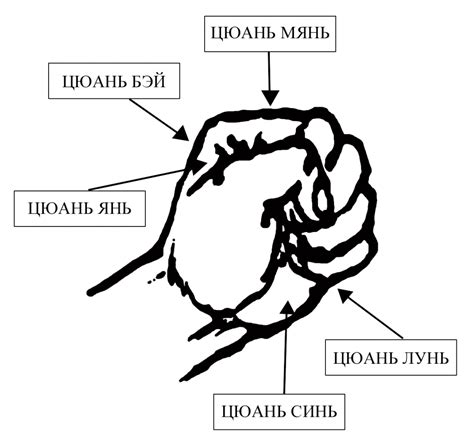 Основные элементы техники кулака с загнутым большим пальцем