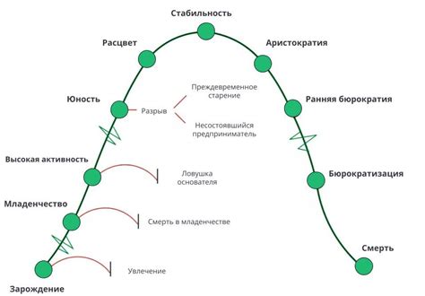 Основные этапы редуцирования