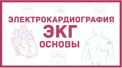 Основы проведения ЭКГ и необходимые инструменты