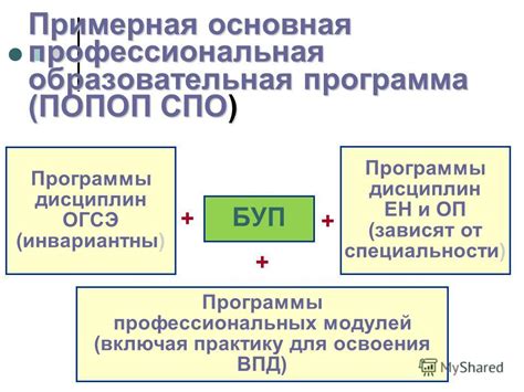 Основы профессиональных дисциплин: принципы и особенности