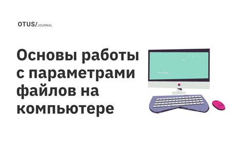 Основы работы на компьютере: с чего начать?