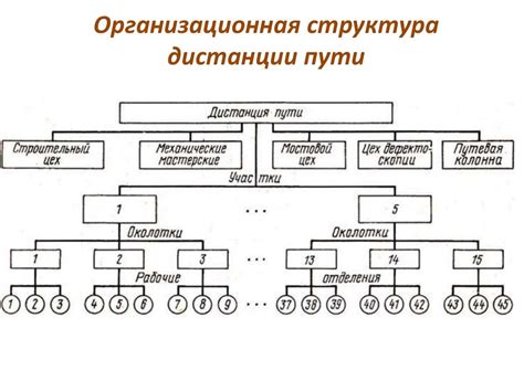 Основы управления хозяйством