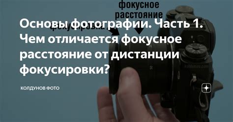 Основы фокусировки изображения: главные принципы и инструкции