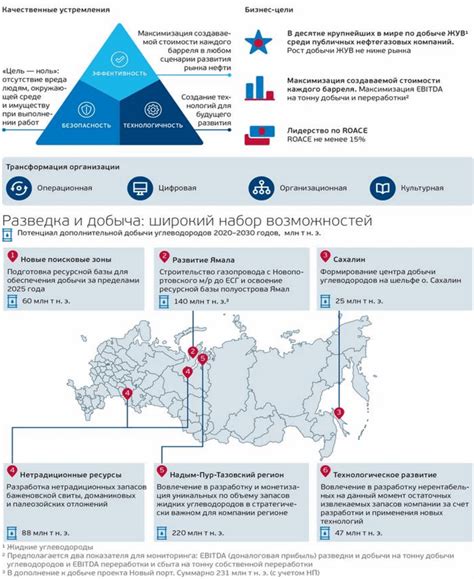 Особенности Госплатформы Газпром