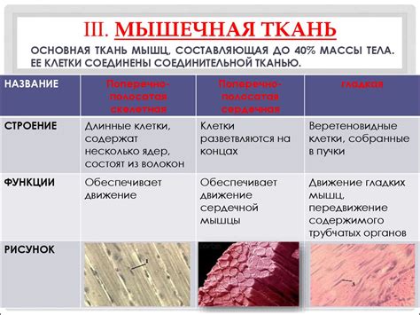 Особенности аляповатой ткани